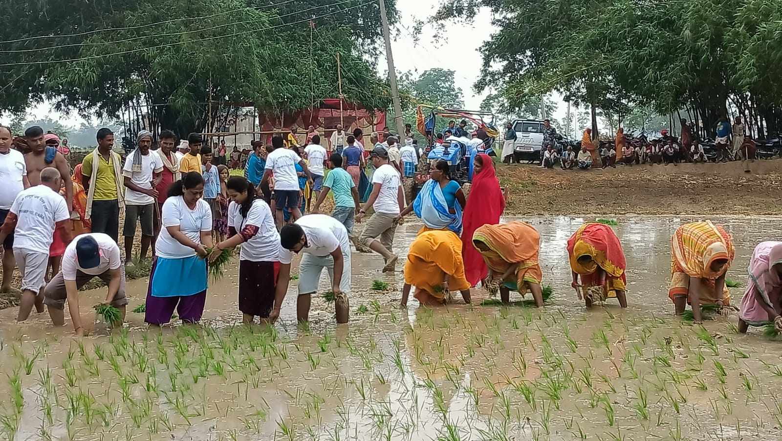 dhan divas